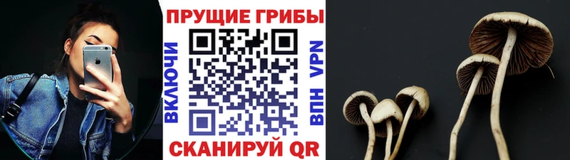 Галлюциногенные грибы ЛСД  Купить  Западная Двина 