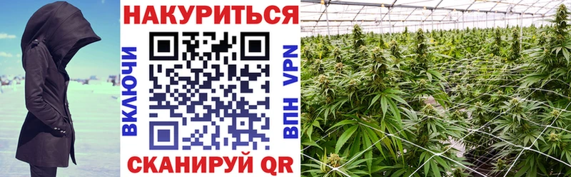 Конопля AK-47 Купить Западная Двина